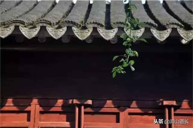 閭山道長:人生三見:見自己,見天地,見眾生