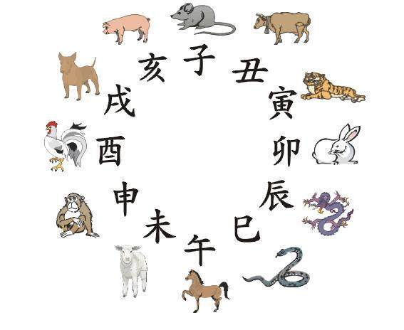 中华绝学:十二生肖“十学掌篇”,附高级技法