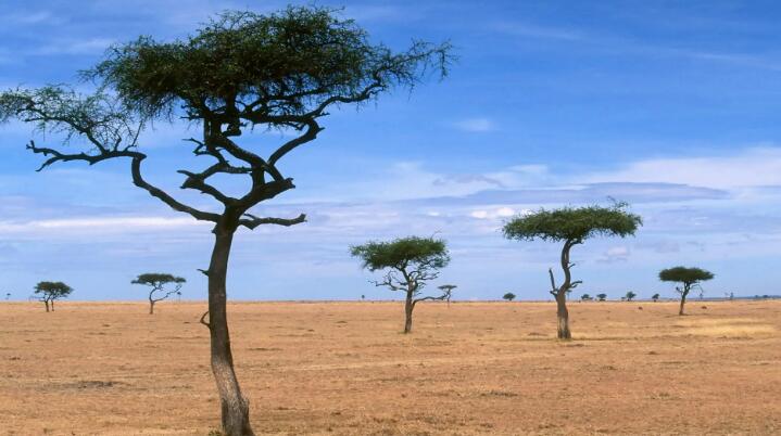 我對陰陽符號定義的一點認識和理解