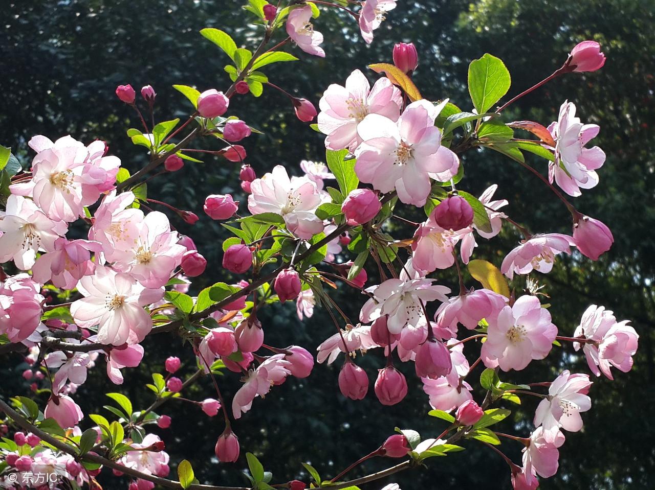 從事風水命理行業三十餘載:王師傅分享自己的10點感悟,值得收藏