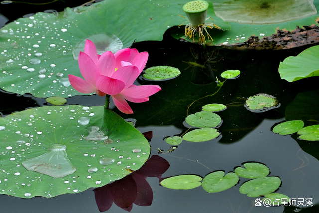 11月29日富贵八方来,哪些星座财源滚滚进家门?