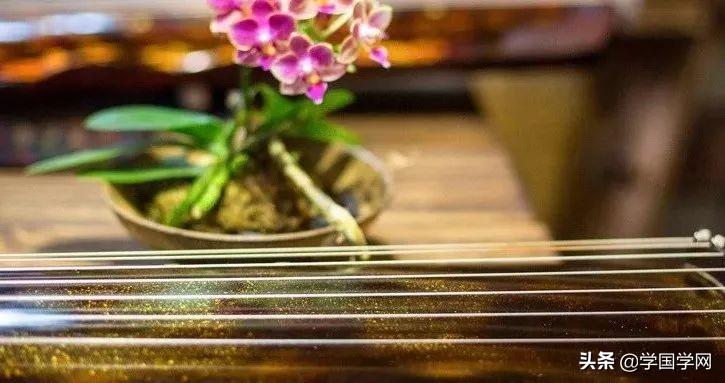 汪涵、張震、孫茜推崇備至，傳承3000多年至今，它到底有什麼魅力