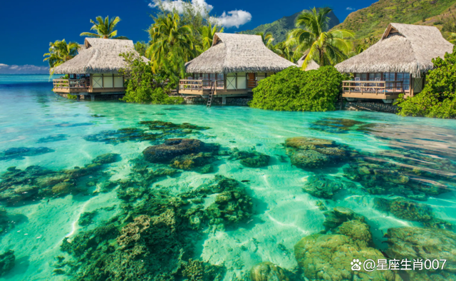 在感情上容易孤独,代表婚姻比较不顺,烦恼忧愁多