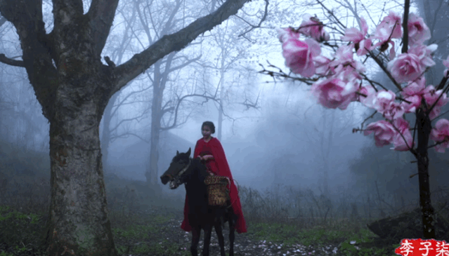 李子柒田園牧歌式的人生，在美食里體驗煙火氣息，享受慢時光生活