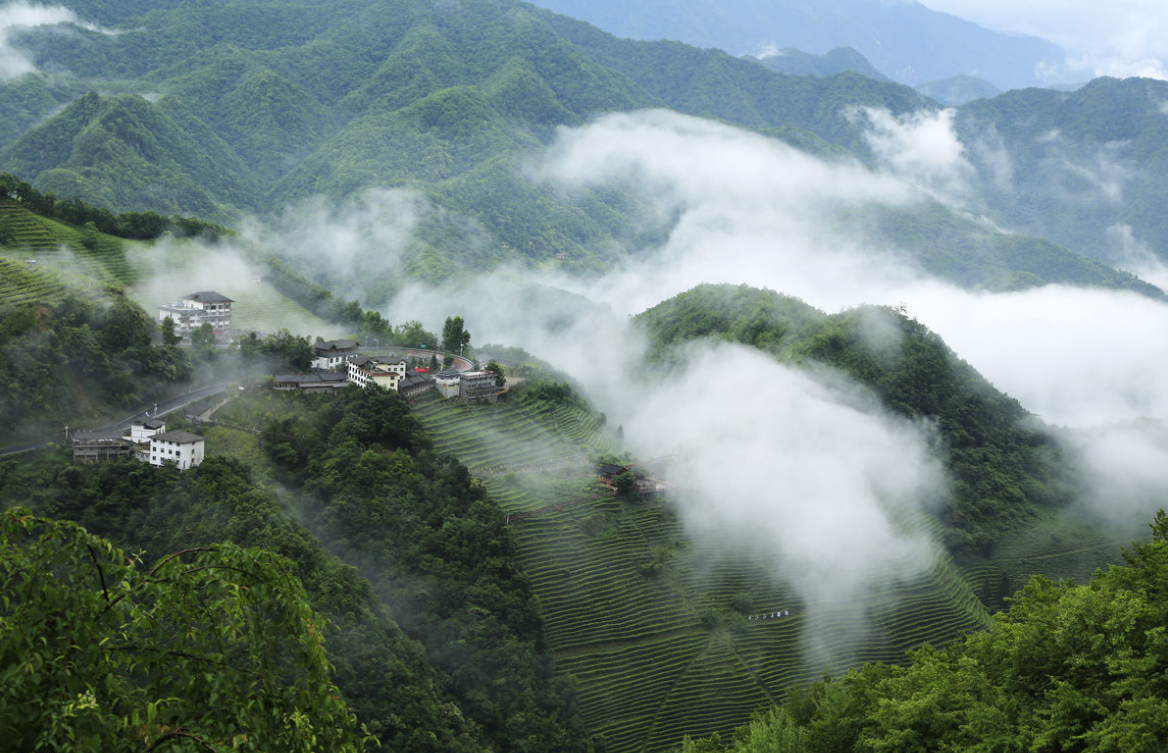 資深命理師深度揭秘，算命可以給人改命嗎？