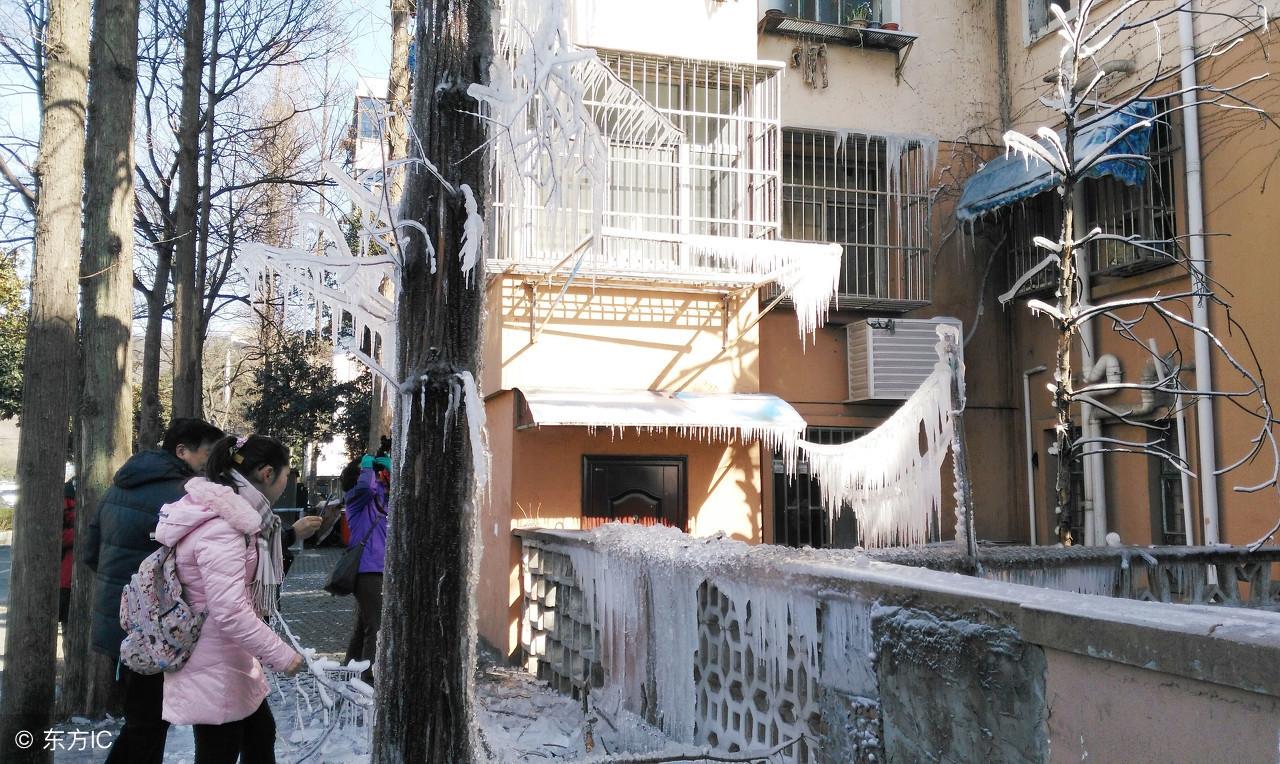 農村宅前院內有樹是吉是凶？30年相宅風水師為你解讀！值得收藏！