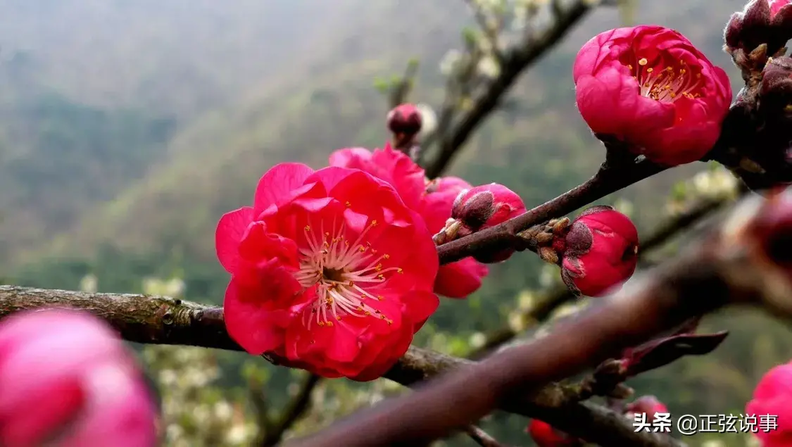 你到底在執著什麼？