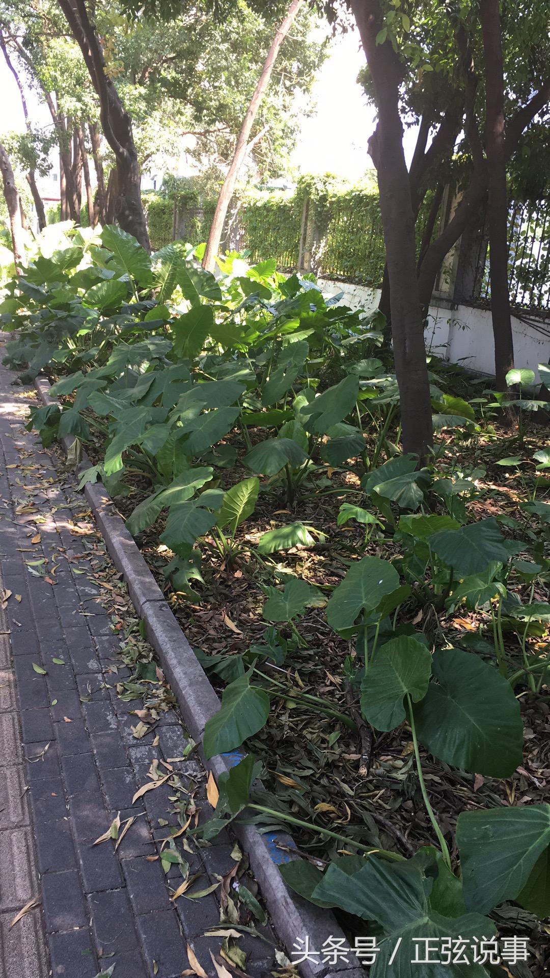 你知道我最致命的地方,就別拿刀子在那捅