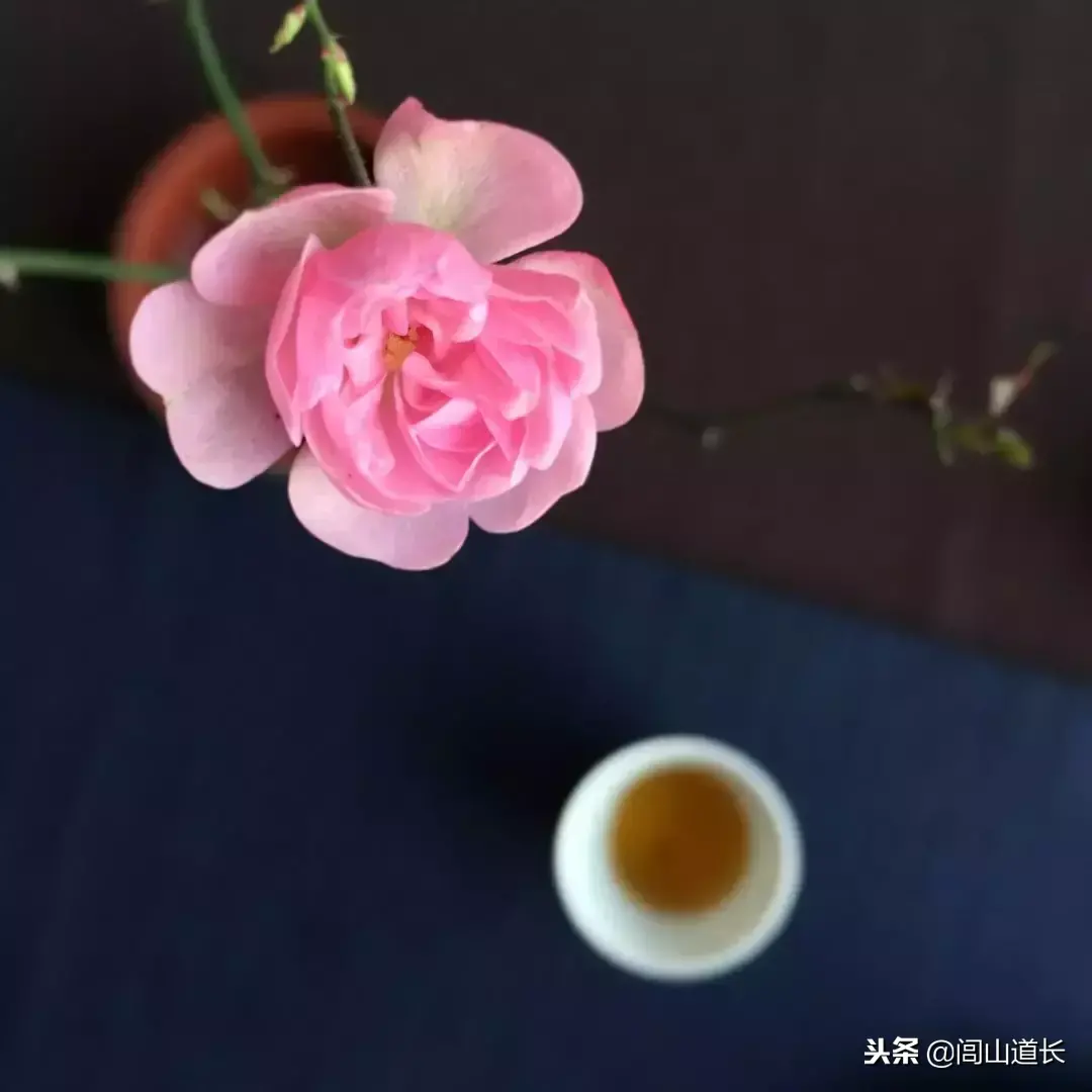 閭山道長：懂因果的人，從不佔便宜