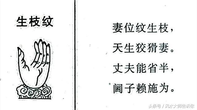 手相：掌紋大全，掌中紋理解析，看過的人都說准