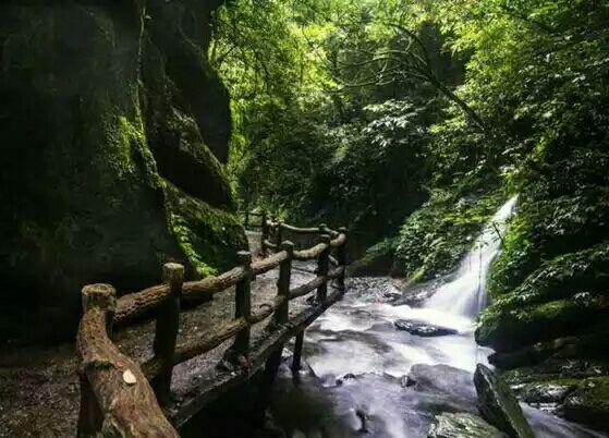 世間不會有無緣無故的相逢