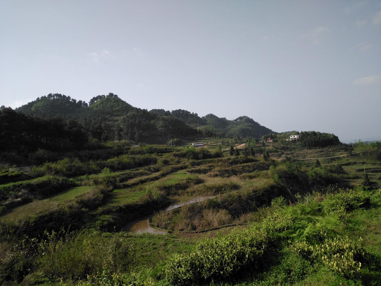 九易說事：「謀事在人，成事在天」之知道、行道、得道