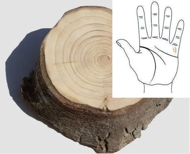 玄学·周易·手相