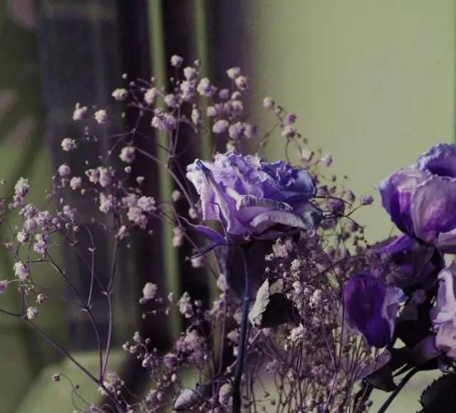 一代才女林徽因的唯美文字