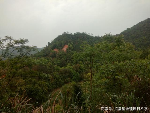 年月日时天干化气的应用