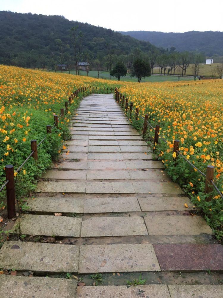 活到現在，拿得起放得下的只有筷子！