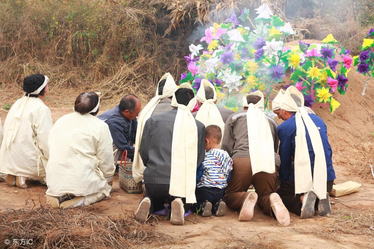 膽子再大也不要砍墳頭樹