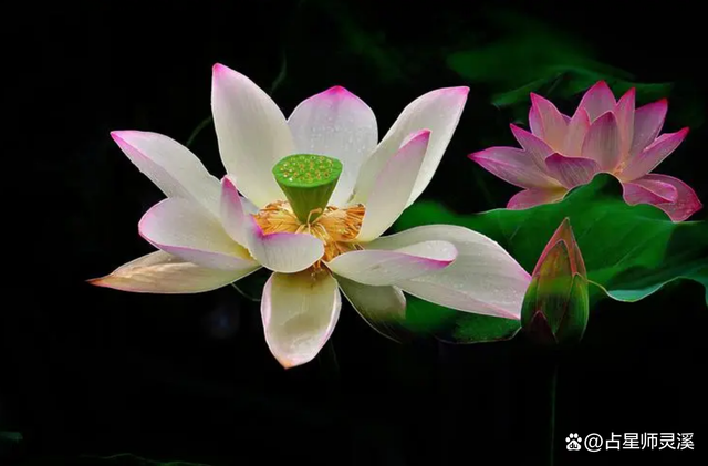 12月6日开始横财频频光顾,哪些星座收入也会随之大涨?