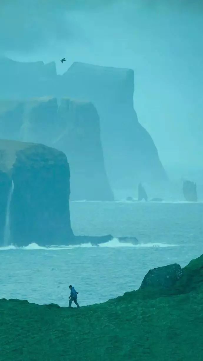 晚讀：人到中年，如酒亦如詩