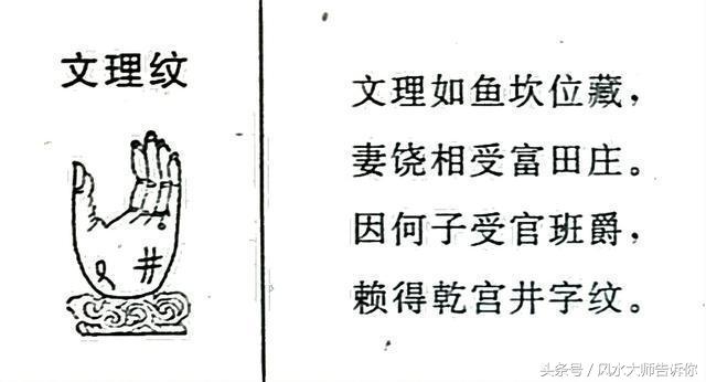 手相：掌紋大全，掌中紋理解析，看過的人都說准