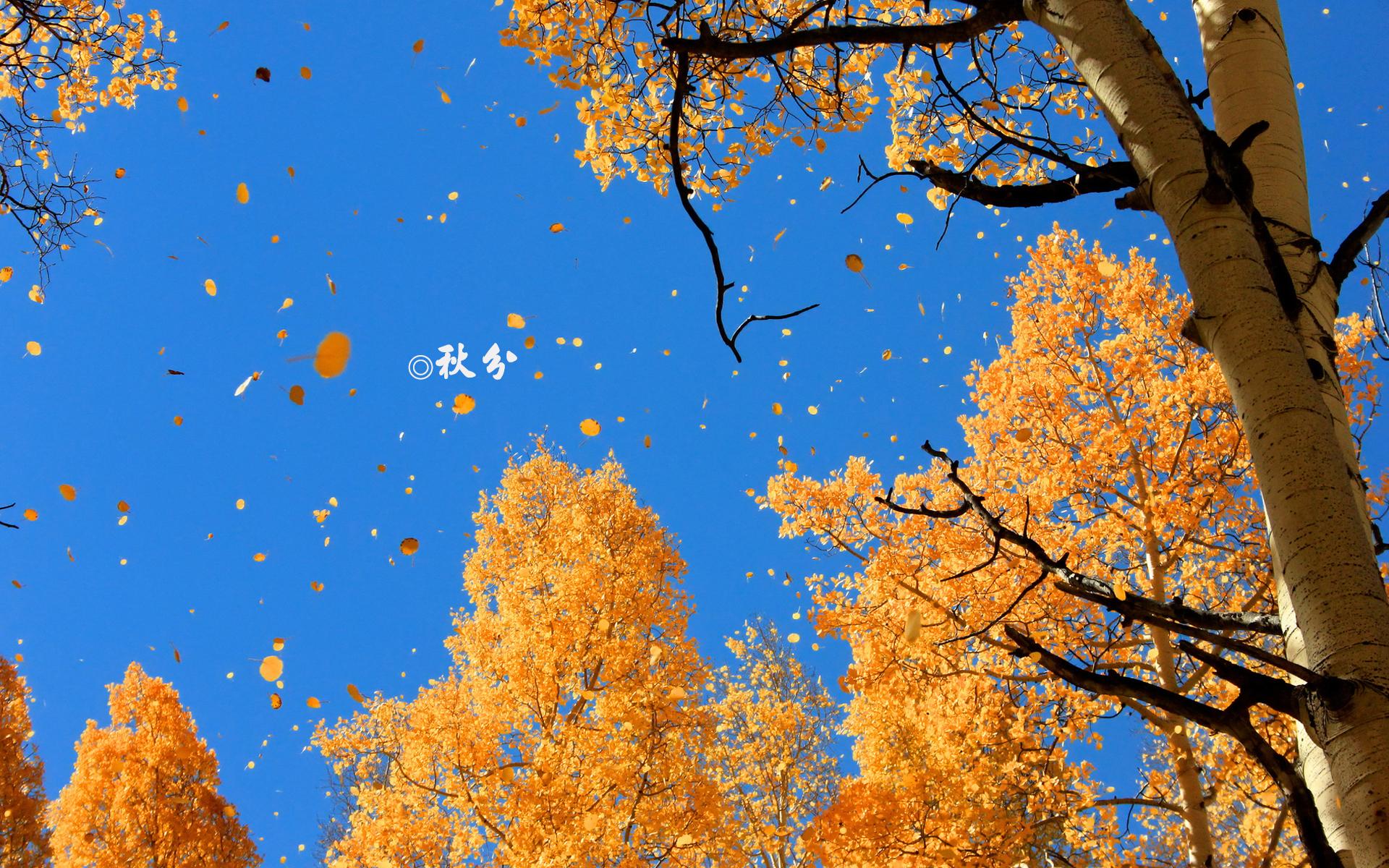 9月22號秋分之日，如何旺運你知道嗎？