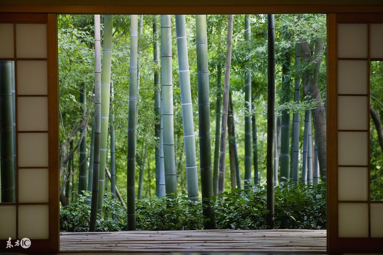 不想晚年孤獨貧困，就要廣積陰德