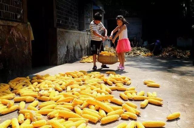 「薦讀」有一種放假叫回家，看完淚奔