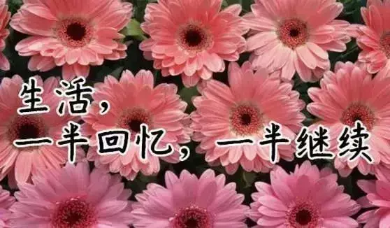 故事很短，卻說透了我們的一生，我看了10遍！（值得收藏）