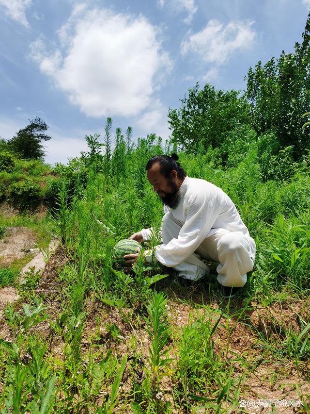 无量子2022诗词作品《驾游》