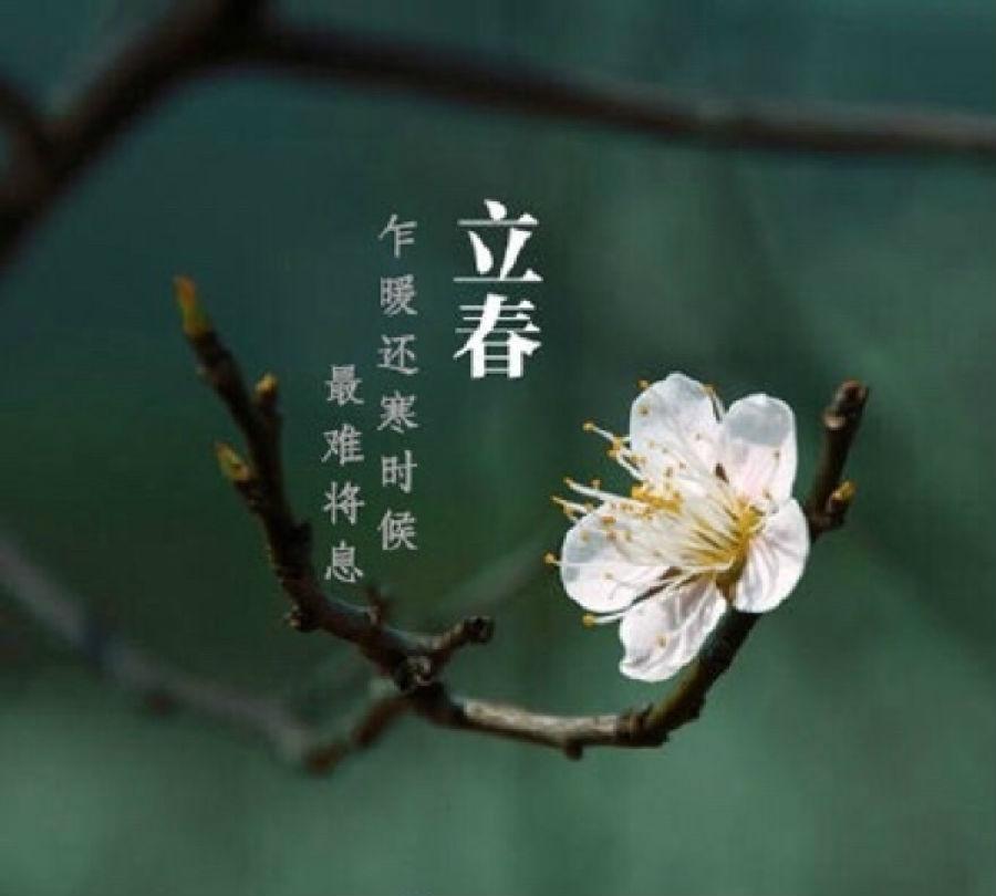 庚子2020年躲春指南