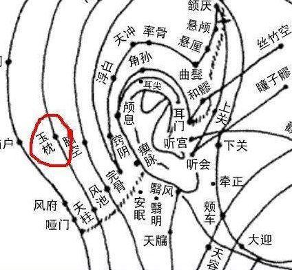 人的氣脈丹田玉枕穴的位置、摸這個地方，會越來越長壽