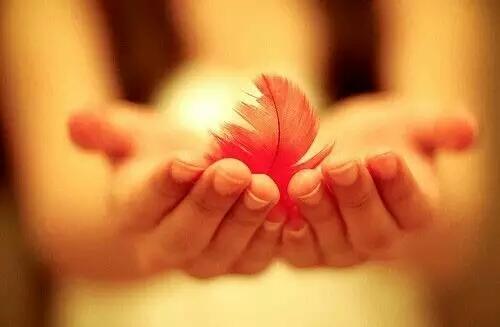 五善閣2016.08.01易經風水生活錦囊