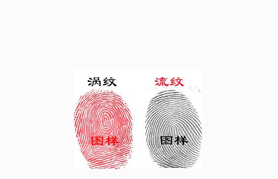 一斗窮，二鬥富，十斗一生不求人，你手指有幾個斗呢？