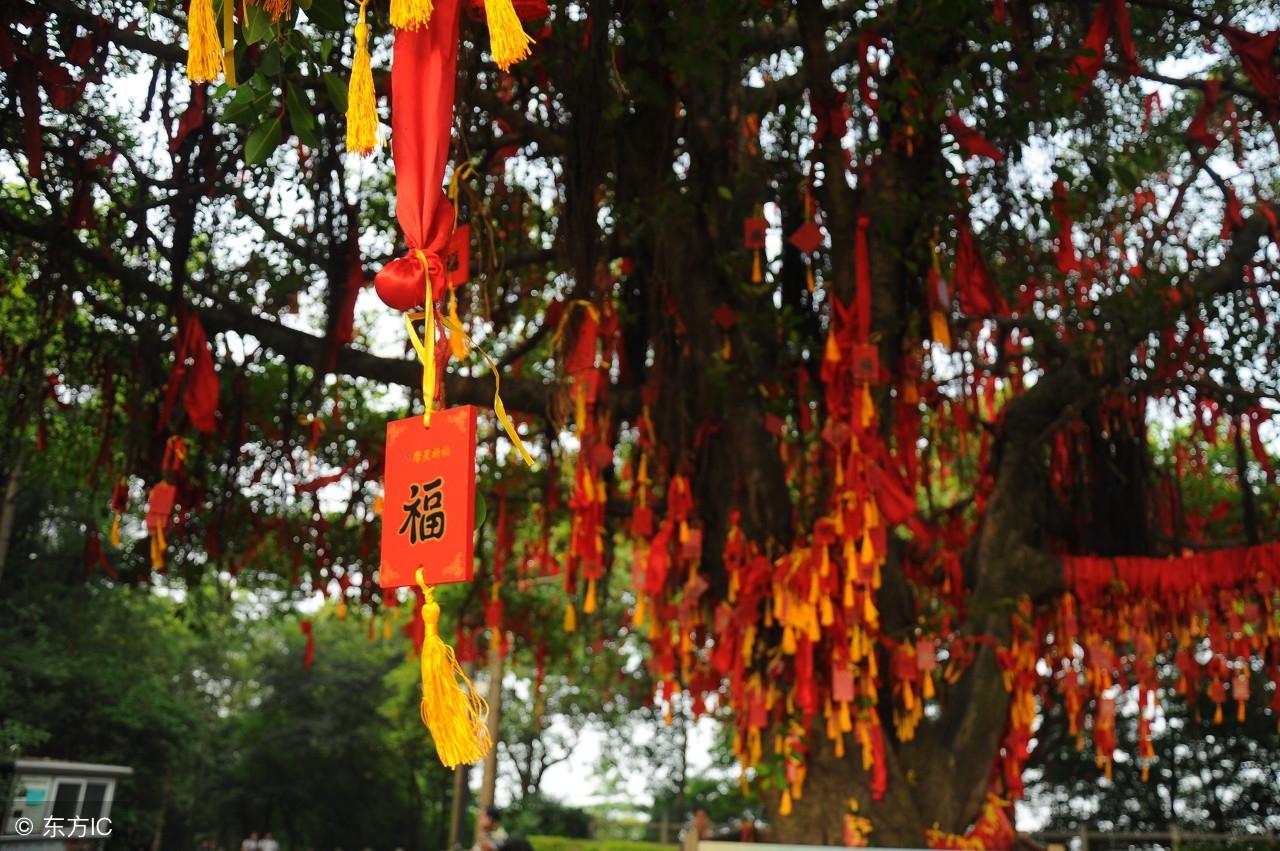 對待婚姻婚戀,30多年風水先生給你的5點忠告,你聽懂了沒有呢?