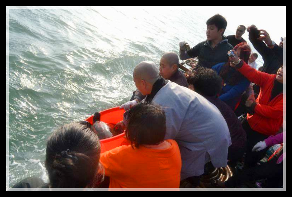 你以為放生真的有效，能改變你的命運嗎？