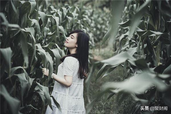 1995年出生是什麼命