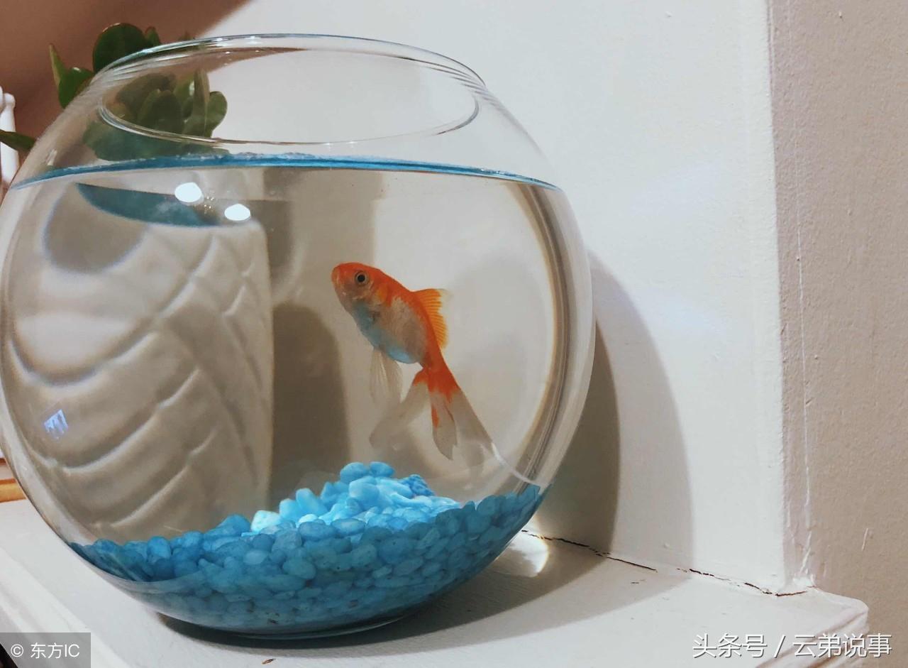 資深風水師:卧房這四種現象影響婚戀,改變布局便能輕鬆旺感情