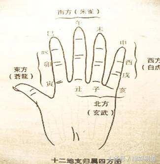 揭開十二地支萬物取象的奧秘，第一次寫得如此完整，看到就賺到了