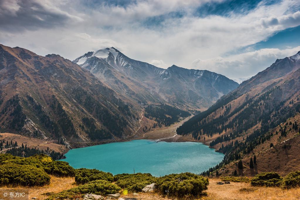 公司單位養魚講究這些注意事項