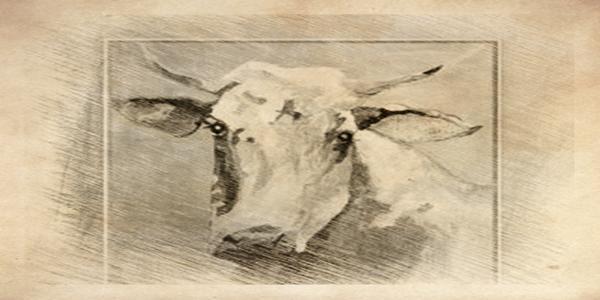 算命大師分析申時生肖牛人士的運勢，值得收藏！