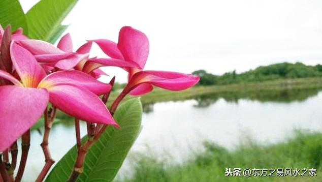 上聯：老子化胡常賜道，復教蠻爾明人理，如何對下聯？