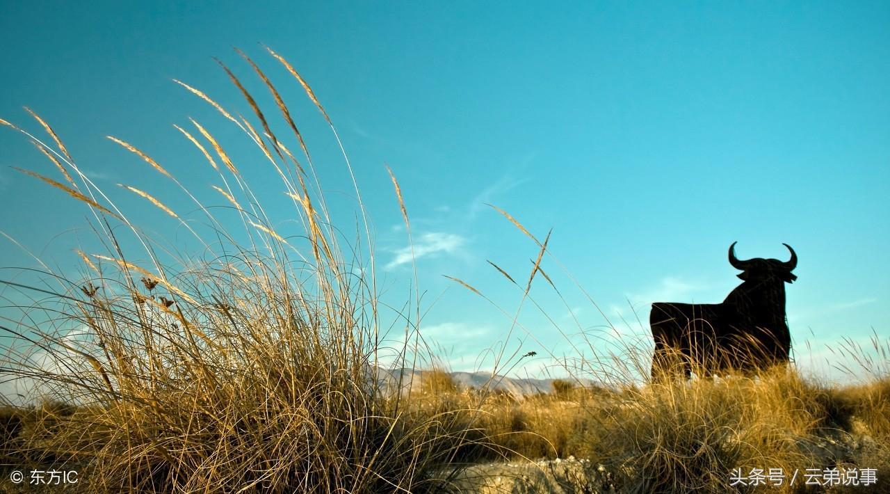 夢境反映最近的運勢?還可以預示生男生女?風水師傅分享解夢經驗