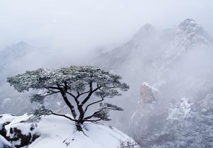 一個神秘玄學風水者自述——行事做人的底線和準則
