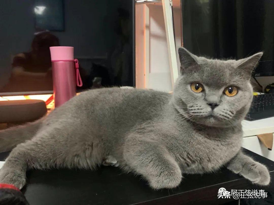 周末故事：壞的直接，好的乾脆