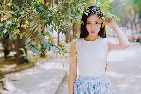 2018戊戌年看那些生肖走狗運、以及本命年的注意十二生肖全年運勢