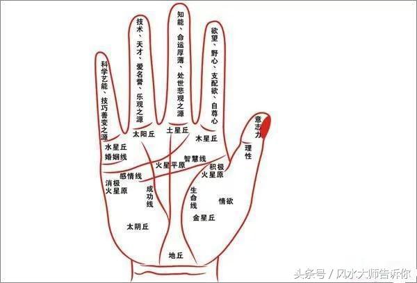 手相大師38年經驗公開，只有這4種手相的人可以功成名就