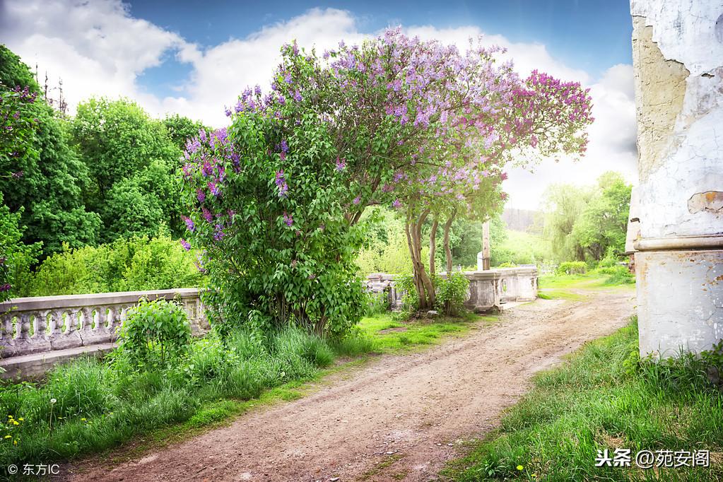 風水中，為何房前忌有街巷、道路直沖以及不能位於道路盡頭