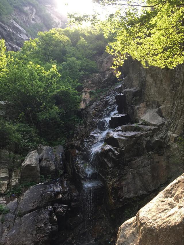 游山趣聞,一根細小枯枝能頂得起一塊巨石?