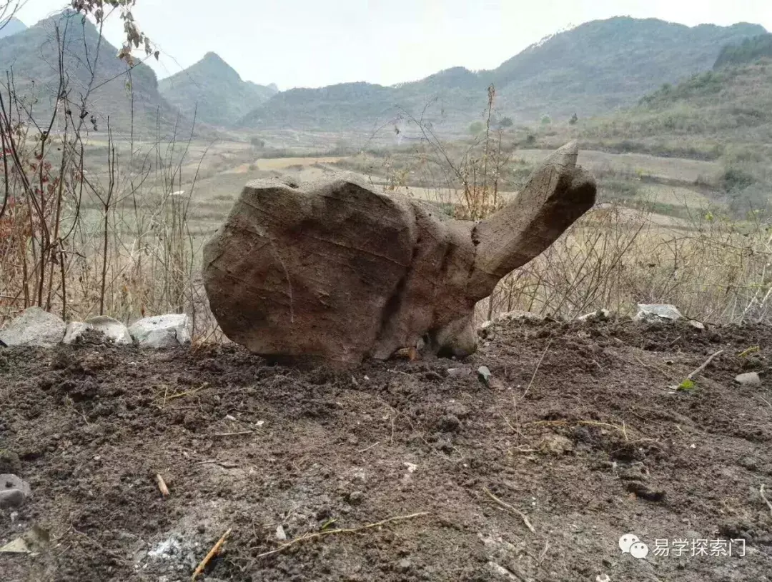 「日課分析」一個日子好壞的影響到底有多大?