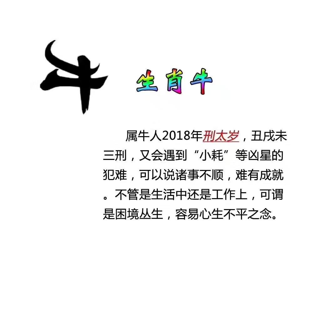 想知道2018年你犯太歲嗎?
